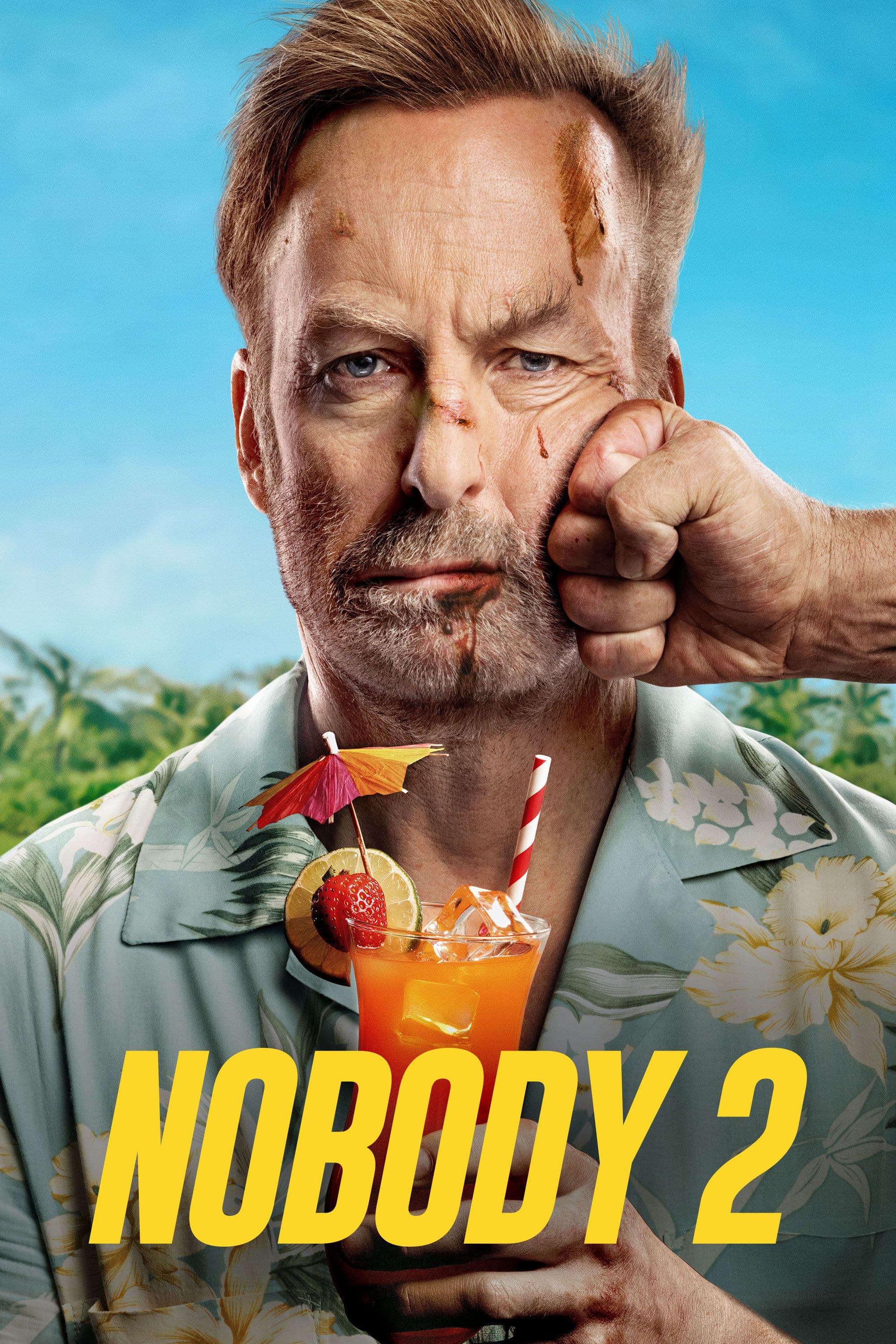 Poster of Nobody 2