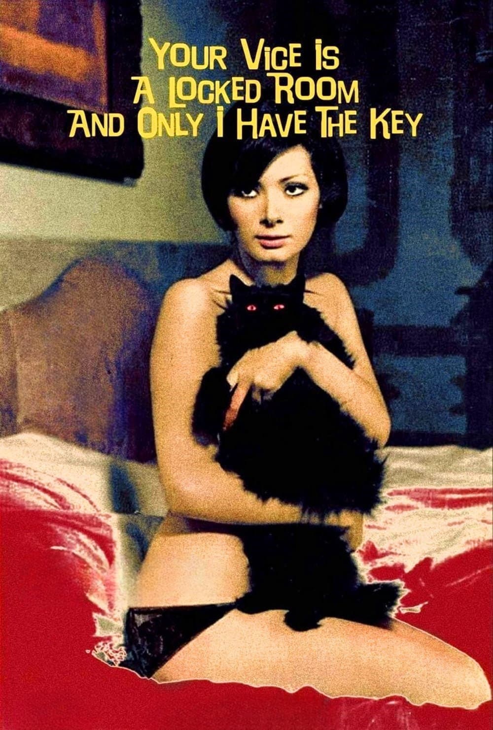 Poster of Your Vice Is a Locked Room and Only I Have the Key