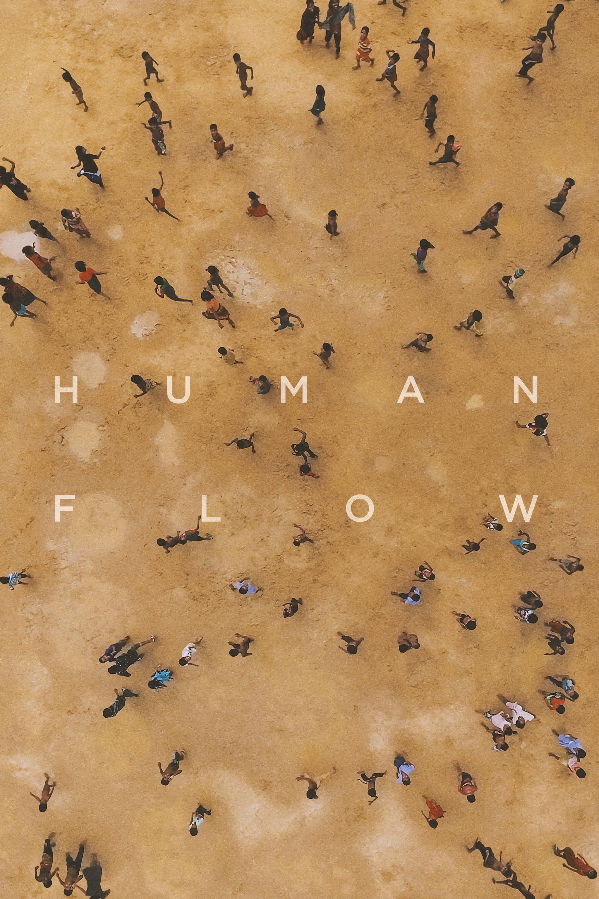 Poster of Human Flow
