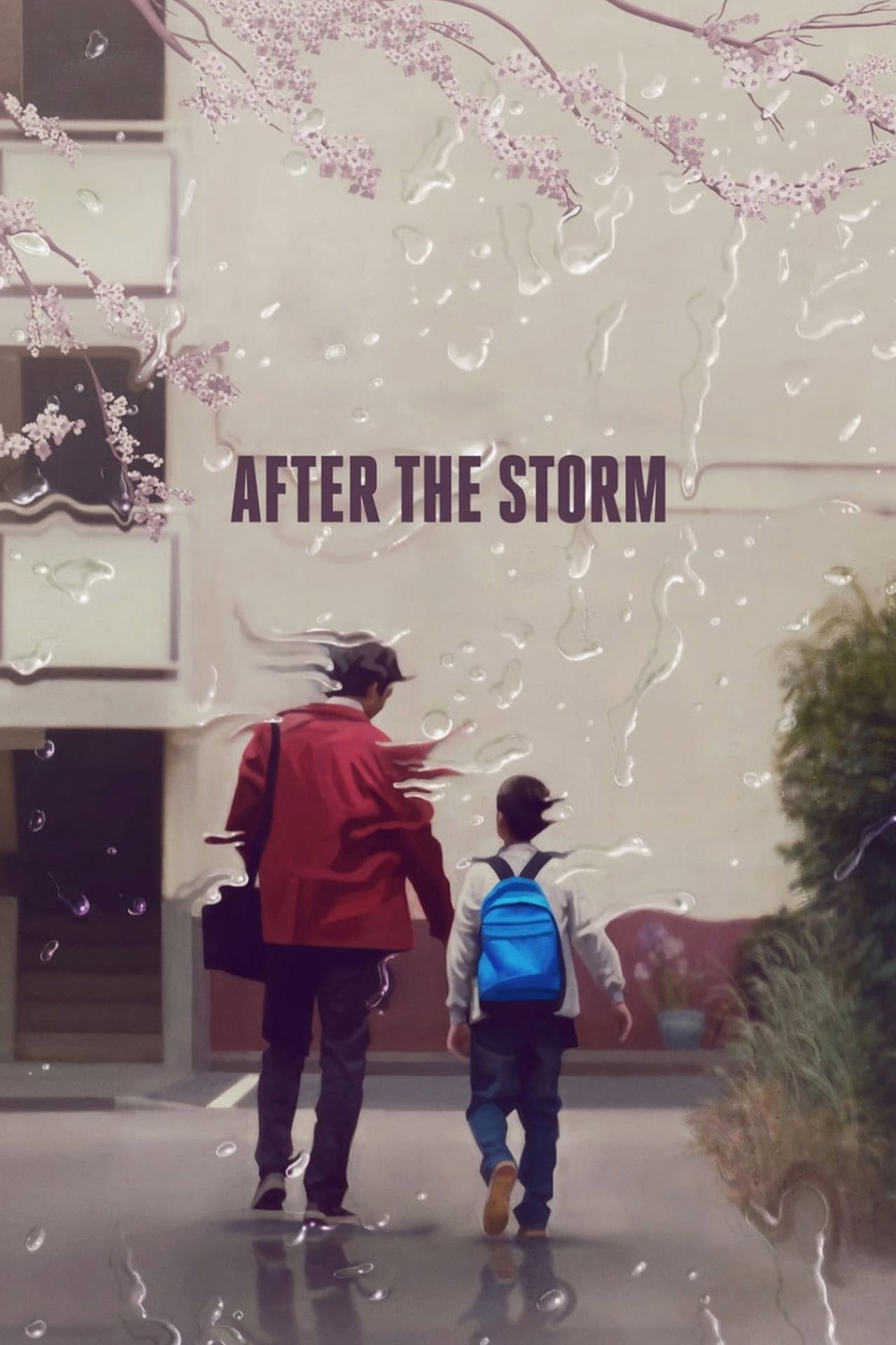Poster of After the Storm