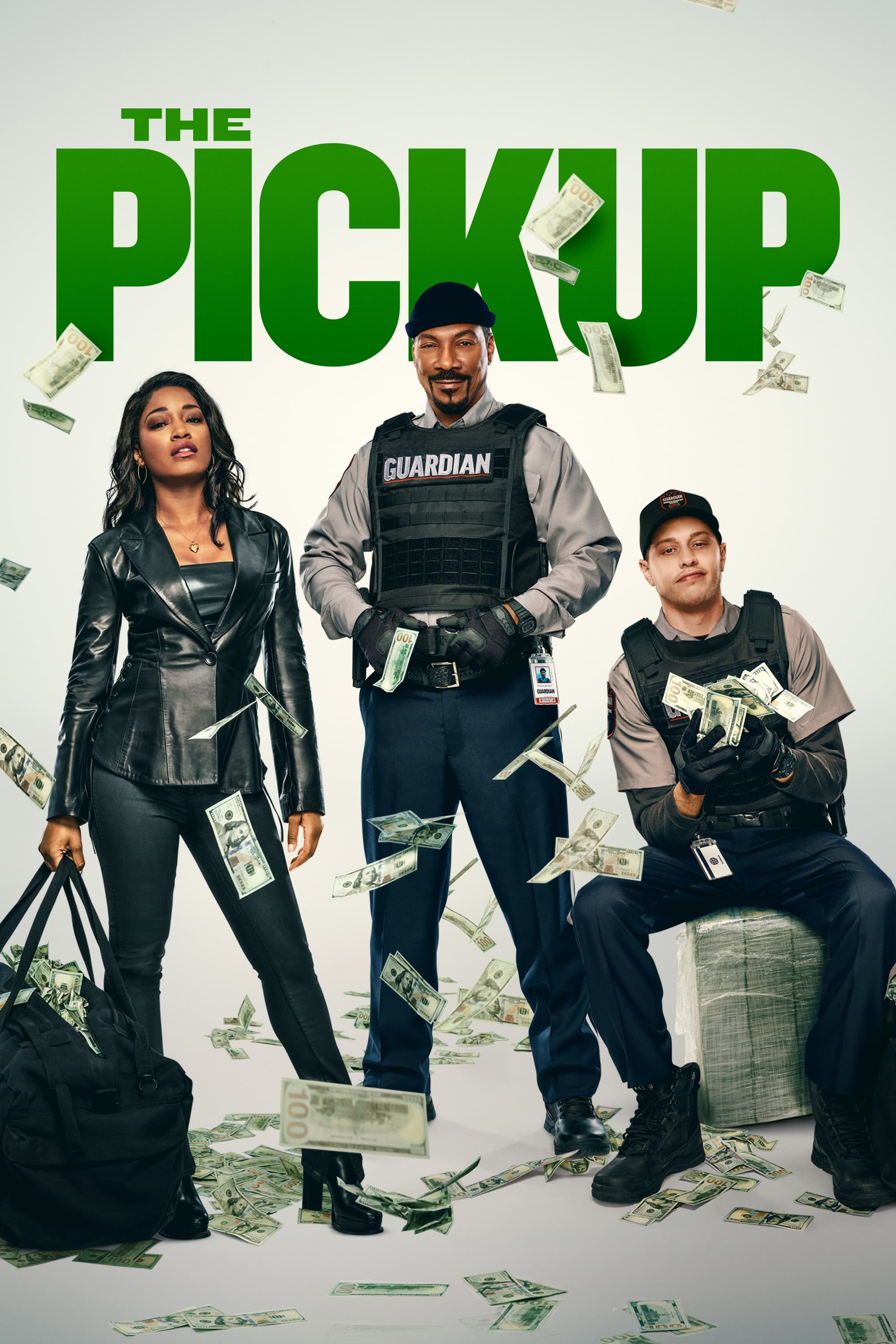 Poster of The Pickup
