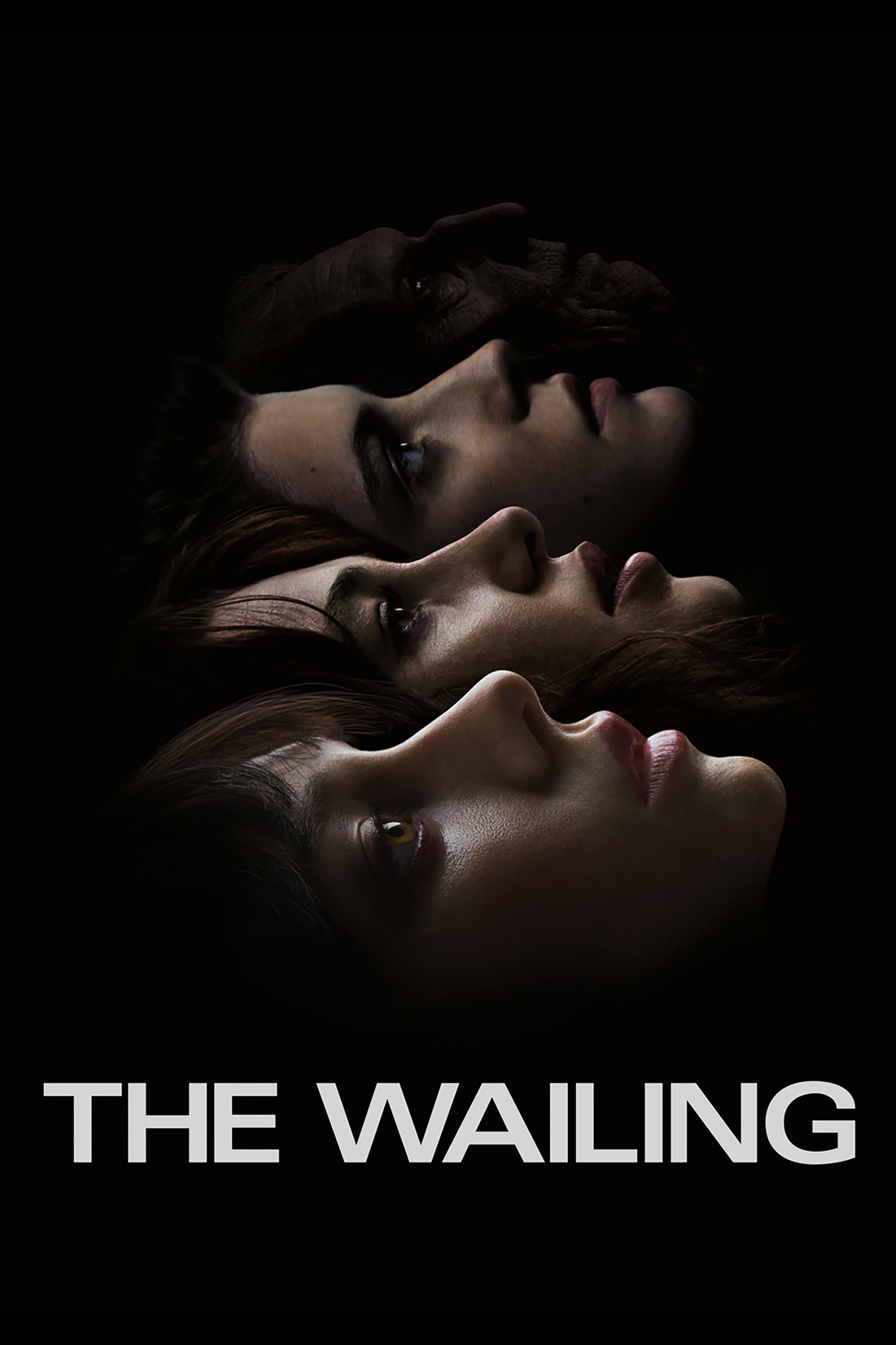 Poster of The Wailing