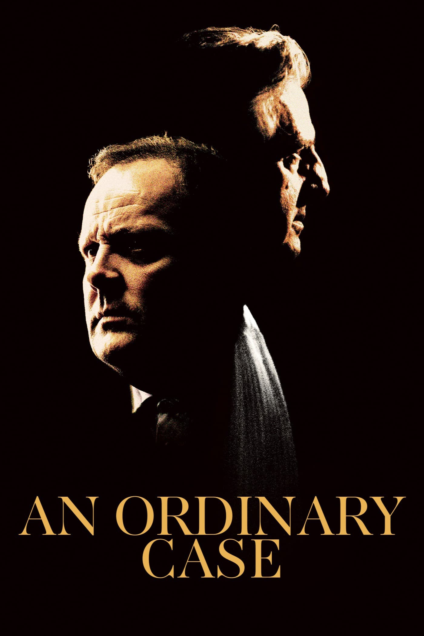 Poster of An Ordinary Case