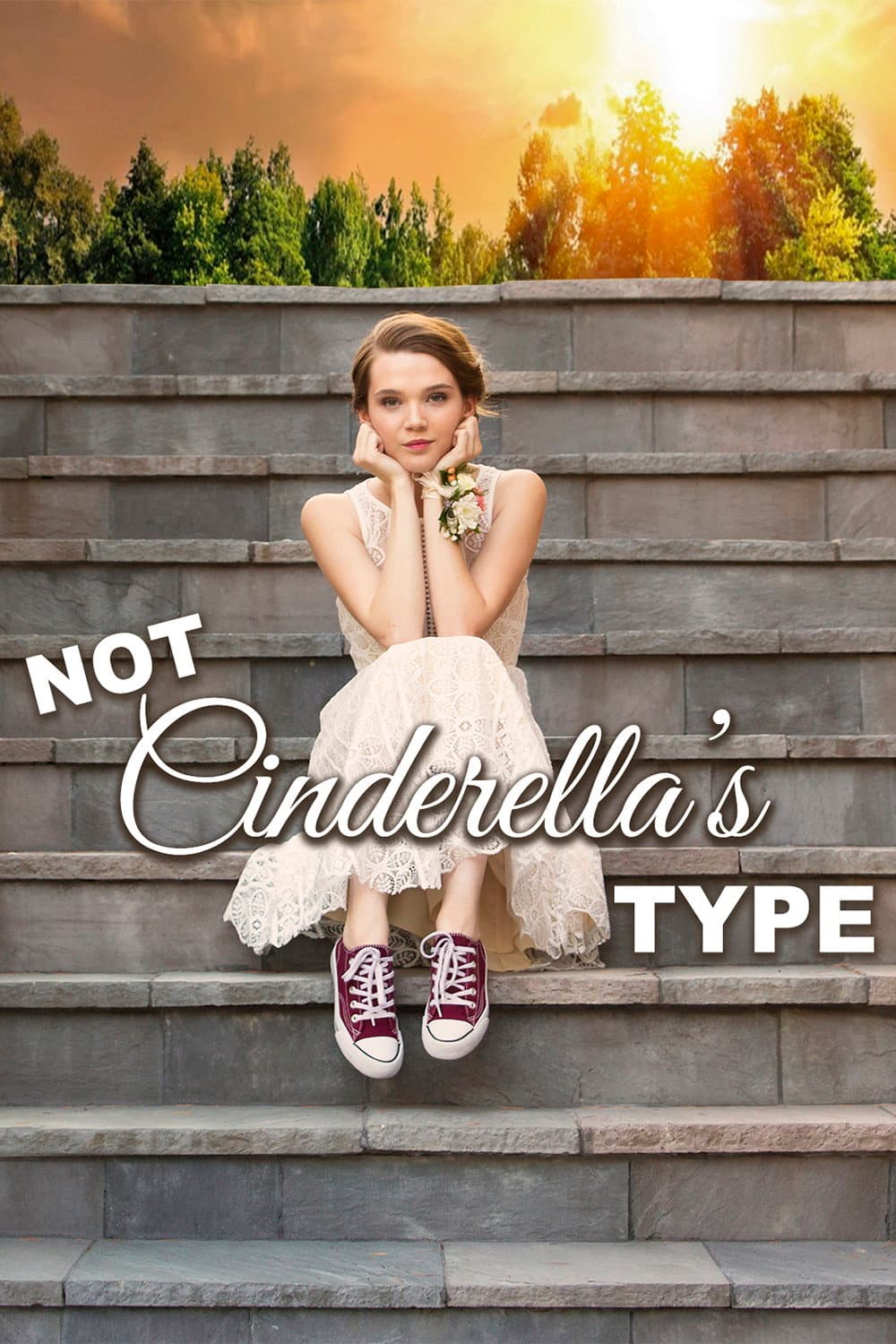 Poster of Not Cinderella's Type