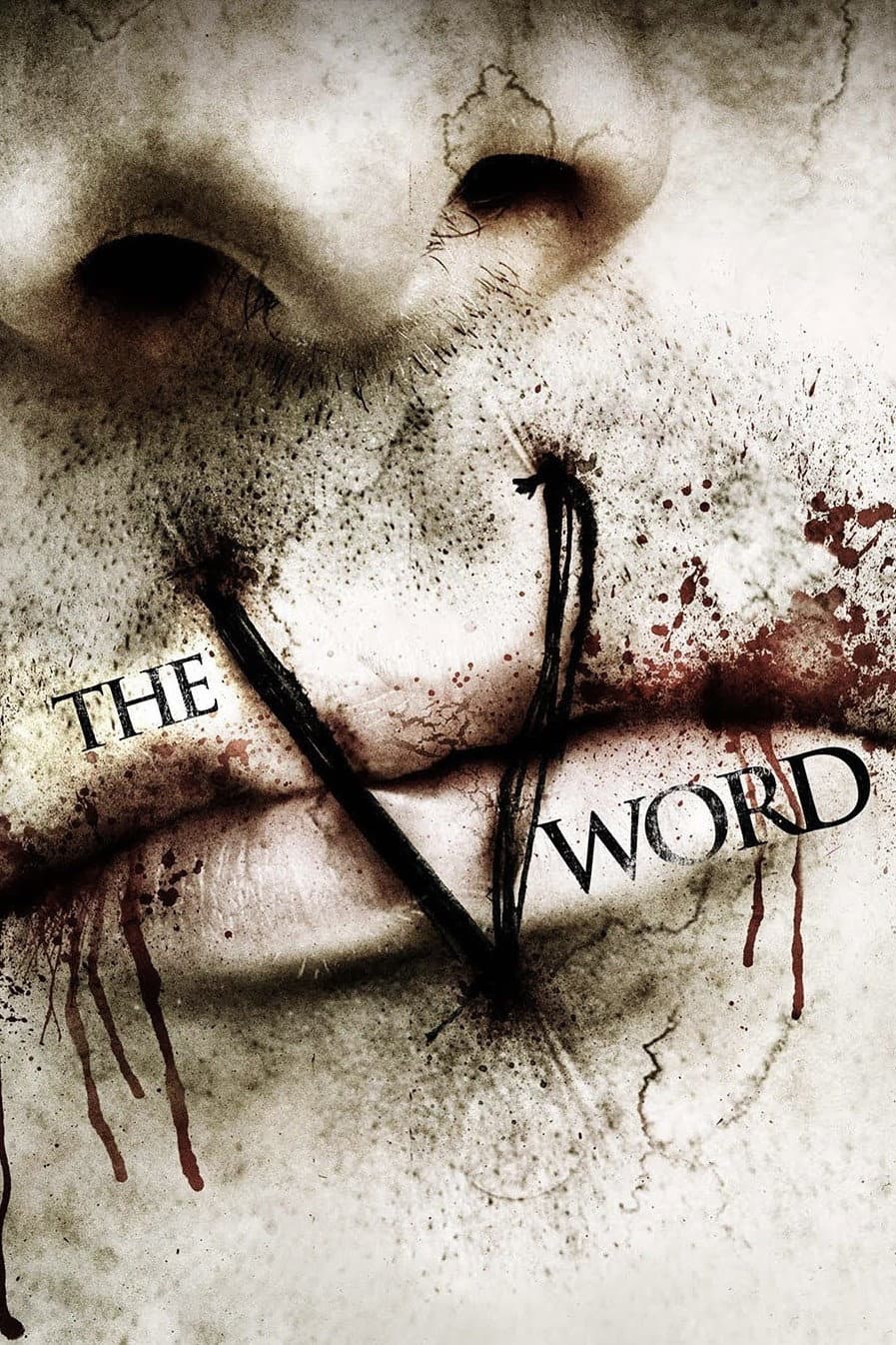 Poster of The V Word