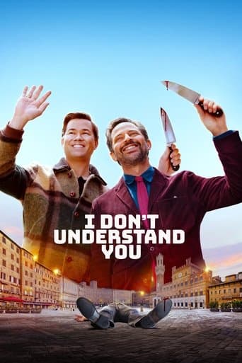 Poster of I Don't Understand You