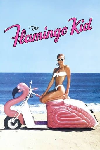 Poster of The Flamingo Kid
